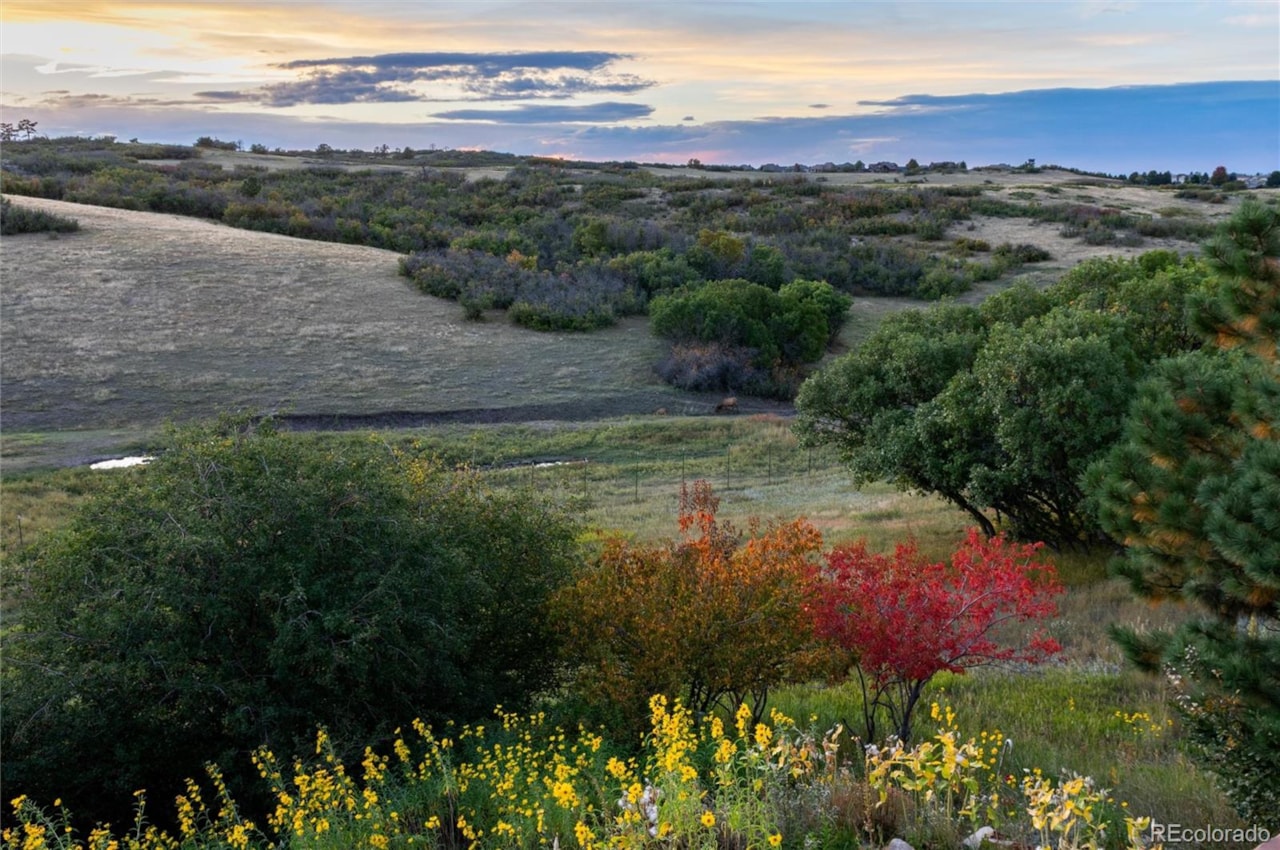 13079 Whisper Canyon Rd Castle Pines North Welcome to this custom-built ranch estate in gated community of Whisper Canyon backing to open... Castle Pines Douglas CO 80108 3960464 home for sale $2,775,000 3960464 Photo 46