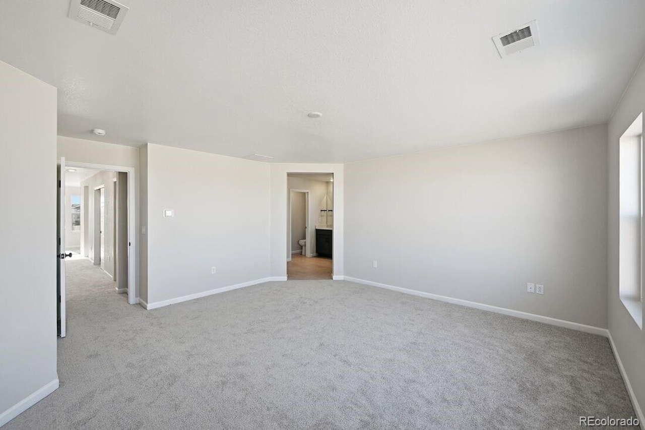 3641 Recess Ln Macanta What's Special: Cul-de-Sac Lot | Larger Lot | No Rear Neighbors | Walkout Basement | Covered Rear... Castle Rock Douglas CO 80108 4017328 home for sale $840,199 4017328 Photo 11