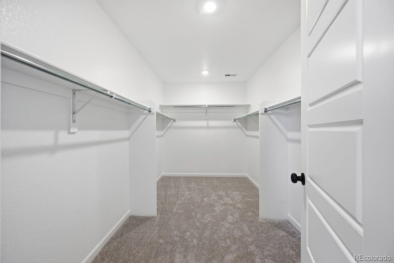 3641 Recess Ln Macanta What's Special: Cul-de-Sac Lot | Larger Lot | No Rear Neighbors | Walkout Basement | Covered Rear... Castle Rock Douglas CO 80108 4017328 home for sale $840,199 4017328 Photo 13