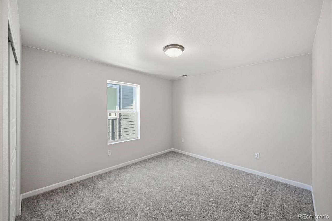 3641 Recess Ln Macanta What's Special: Cul-de-Sac Lot | Larger Lot | No Rear Neighbors | Walkout Basement | Covered Rear... Castle Rock Douglas CO 80108 4017328 home for sale $840,199 4017328 Photo 14