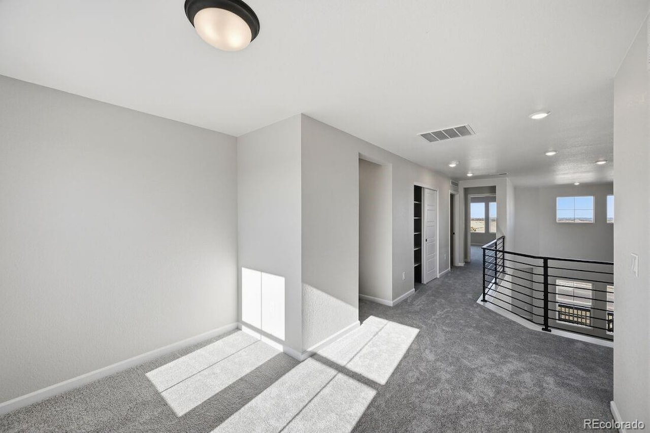 3641 Recess Ln Macanta What's Special: Cul-de-Sac Lot | Larger Lot | No Rear Neighbors | Walkout Basement | Covered Rear... Castle Rock Douglas CO 80108 4017328 home for sale $840,199 4017328 Photo 21