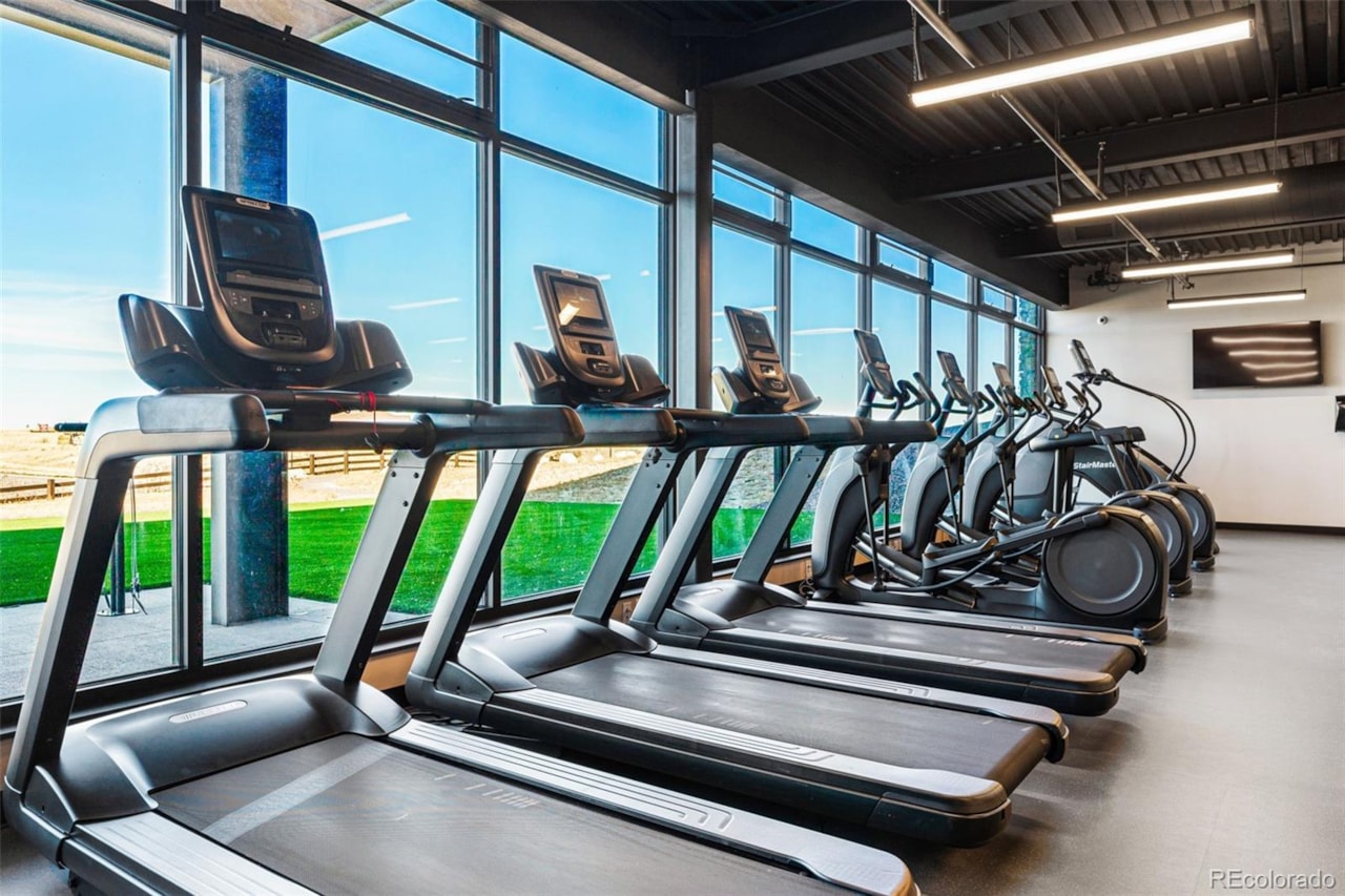 3641 Recess Ln Macanta What's Special: Cul-de-Sac Lot | Larger Lot | No Rear Neighbors | Walkout Basement | Covered Rear... Castle Rock Douglas CO 80108 4017328 home for sale $840,199 4017328 Photo 36