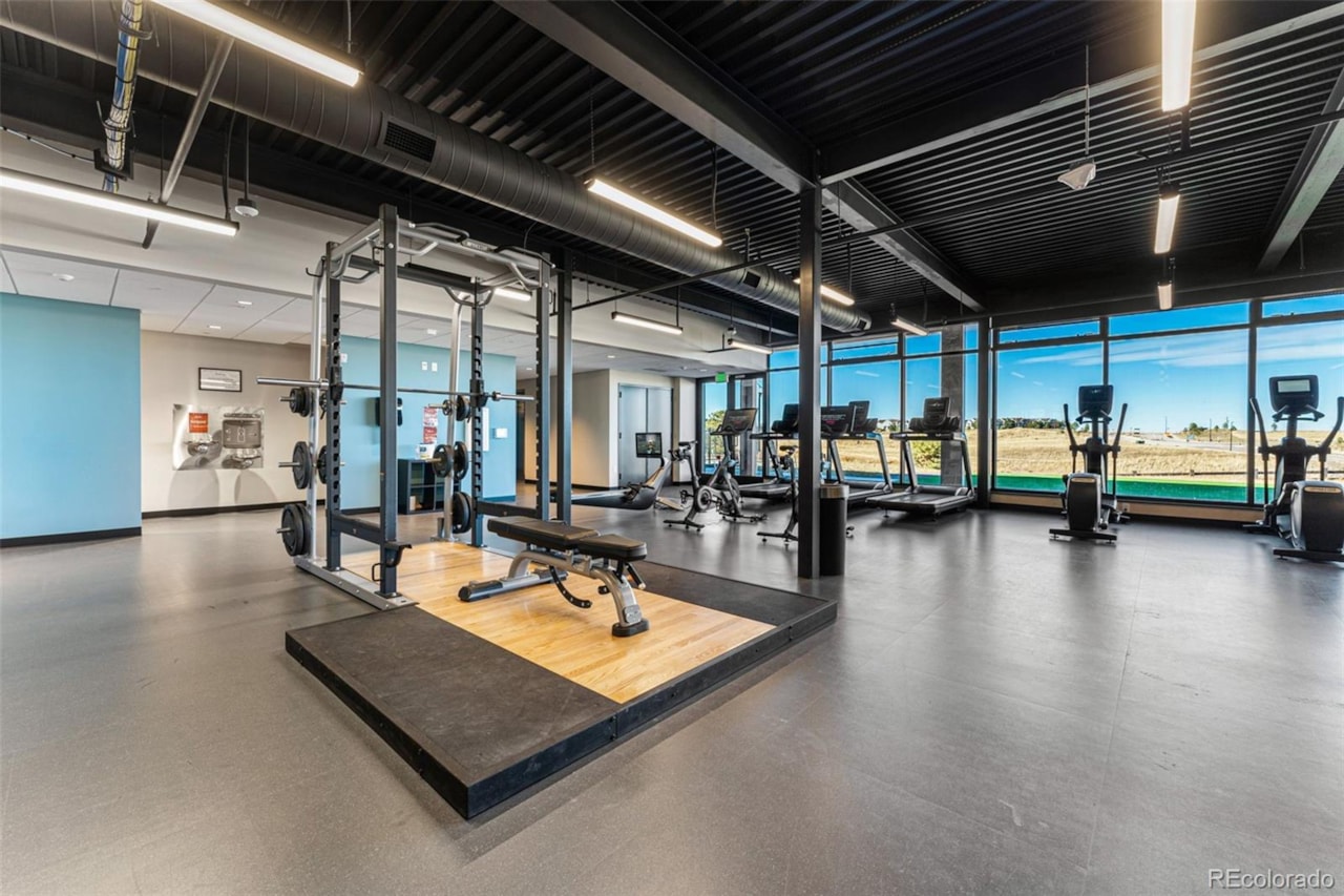 3641 Recess Ln Macanta What's Special: Cul-de-Sac Lot | Larger Lot | No Rear Neighbors | Walkout Basement | Covered Rear... Castle Rock Douglas CO 80108 4017328 home for sale $840,199 4017328 Photo 37