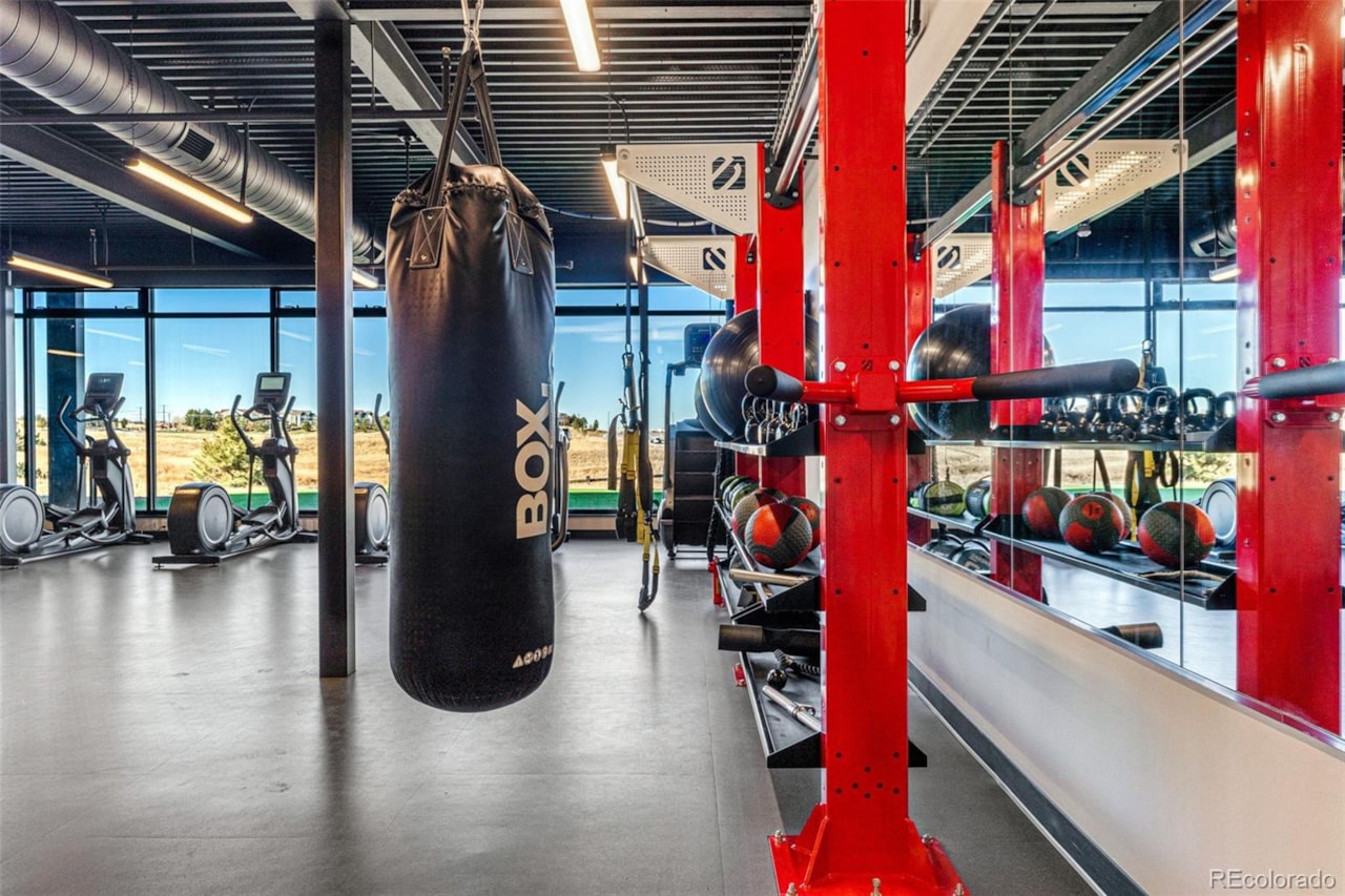 3641 Recess Ln Macanta What's Special: Cul-de-Sac Lot | Larger Lot | No Rear Neighbors | Walkout Basement | Covered Rear... Castle Rock Douglas CO 80108 4017328 home for sale $840,199 4017328 Photo 39