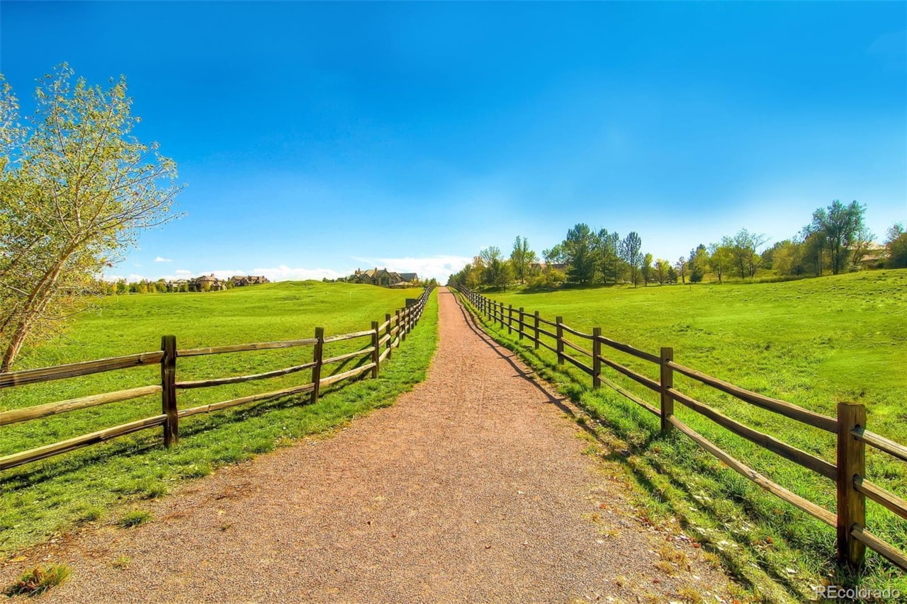 66 Blue Heron Ln Bateleur At The Preserve At Greenwood Village No Expense Spared On This Exquisite Ranch in Greenwood Village's Coveted Bateleur Neighborhood!... Greenwood Village Arapahoe CO 80121 5737748 home for sale $1,925,000 5737748 Photo 46
