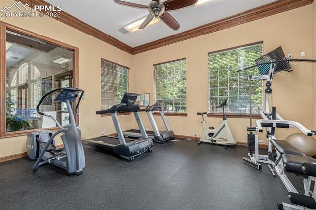 3976 Riviera Grove Hillsboro At Springs Ranch Assumable loan!!! Welcome to this inviting 3-bedroom, 2-bath condo in Hillsboro at Springs Ranch... Colorado Springs El Paso CO 80922 8518687 condo for sale $285,000 8518687 Photo 32