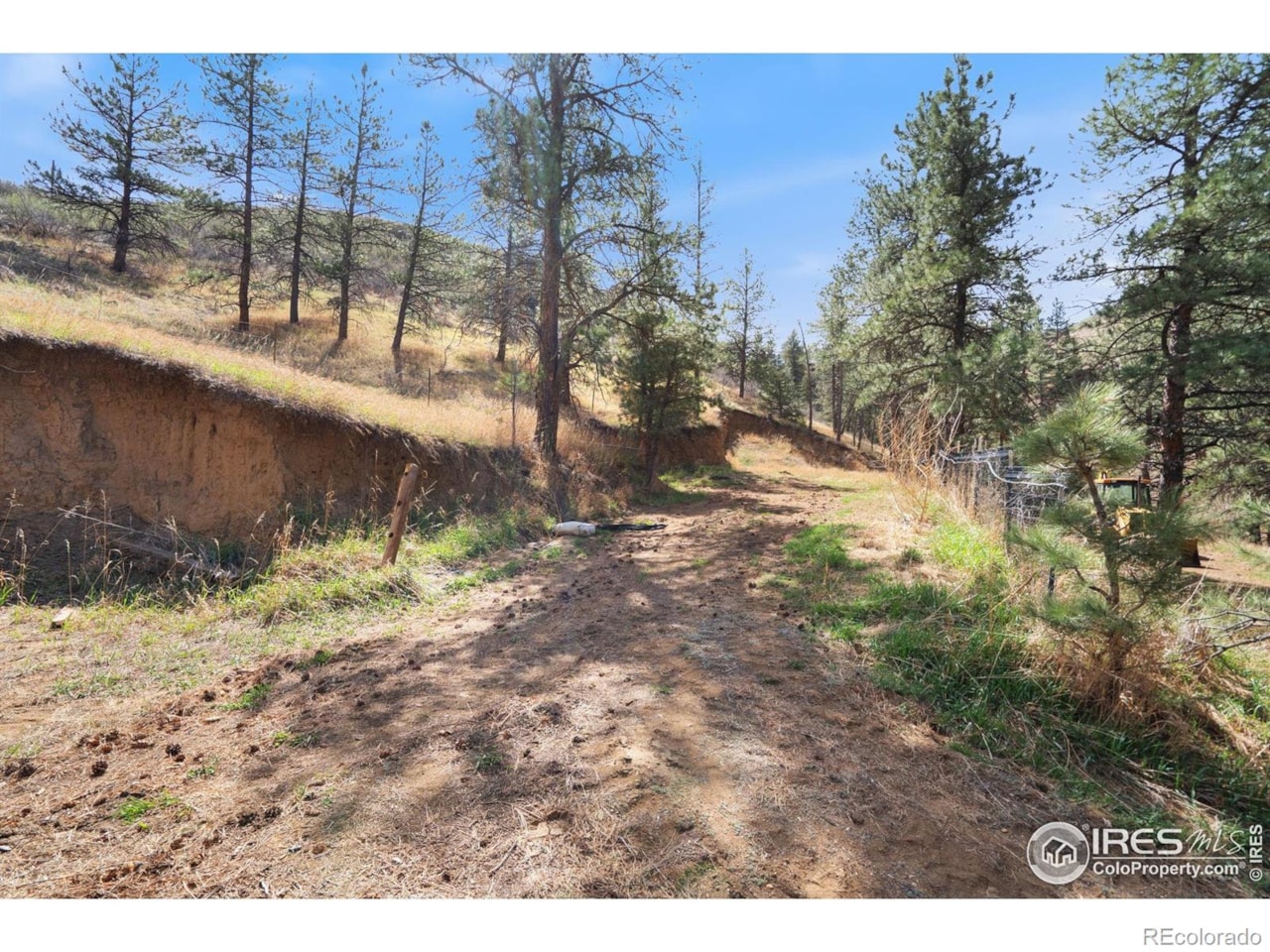 7301 Poudre Canyon Rd My Camp Home for the Holidays! You will have plenty of room for your family and guests in this... Bellvue Larimer CO 80512 IR1047848 home for sale $999,999 IR1047848 Photo 31