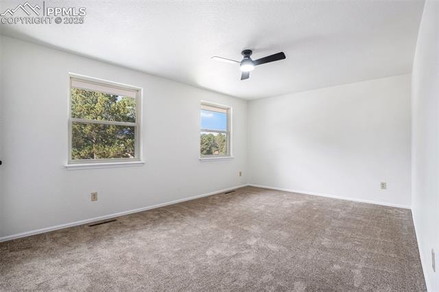 6075 Castlewood Lane Erindale Welcome to this beautifully remodeled 4-bedroom, 3-bathroom home in the heart of central Colorado... Colorado Springs El Paso CO 80918 8080787 home for sale $540,000 8080787 Photo 18