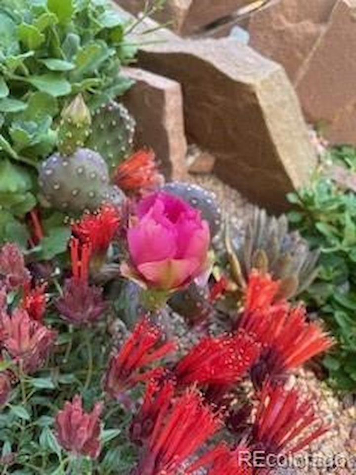 1111 Utica Circle Wonderland Meadows Just a block from Wonderland Lake Open Space, this elegant residence offers a rare blend of refined... Boulder Boulder CO 80304 7589230 home for sale $1,899,400 7589230 Photo 34