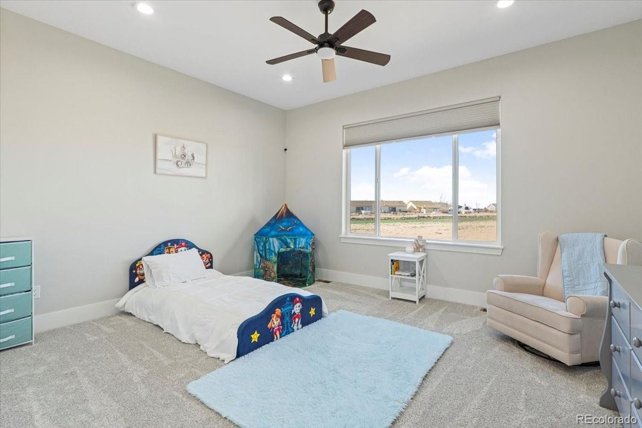 29151 E 165th Ave Hayesmount Estates Sub Sitting on 2.28 acres at the end of a cul-de-sac with no HOA, this 6,832 sq ft custom home with a 4... Brighton Adams CO 80603 4545138 home for sale $1,695,000 4545138 Photo 26