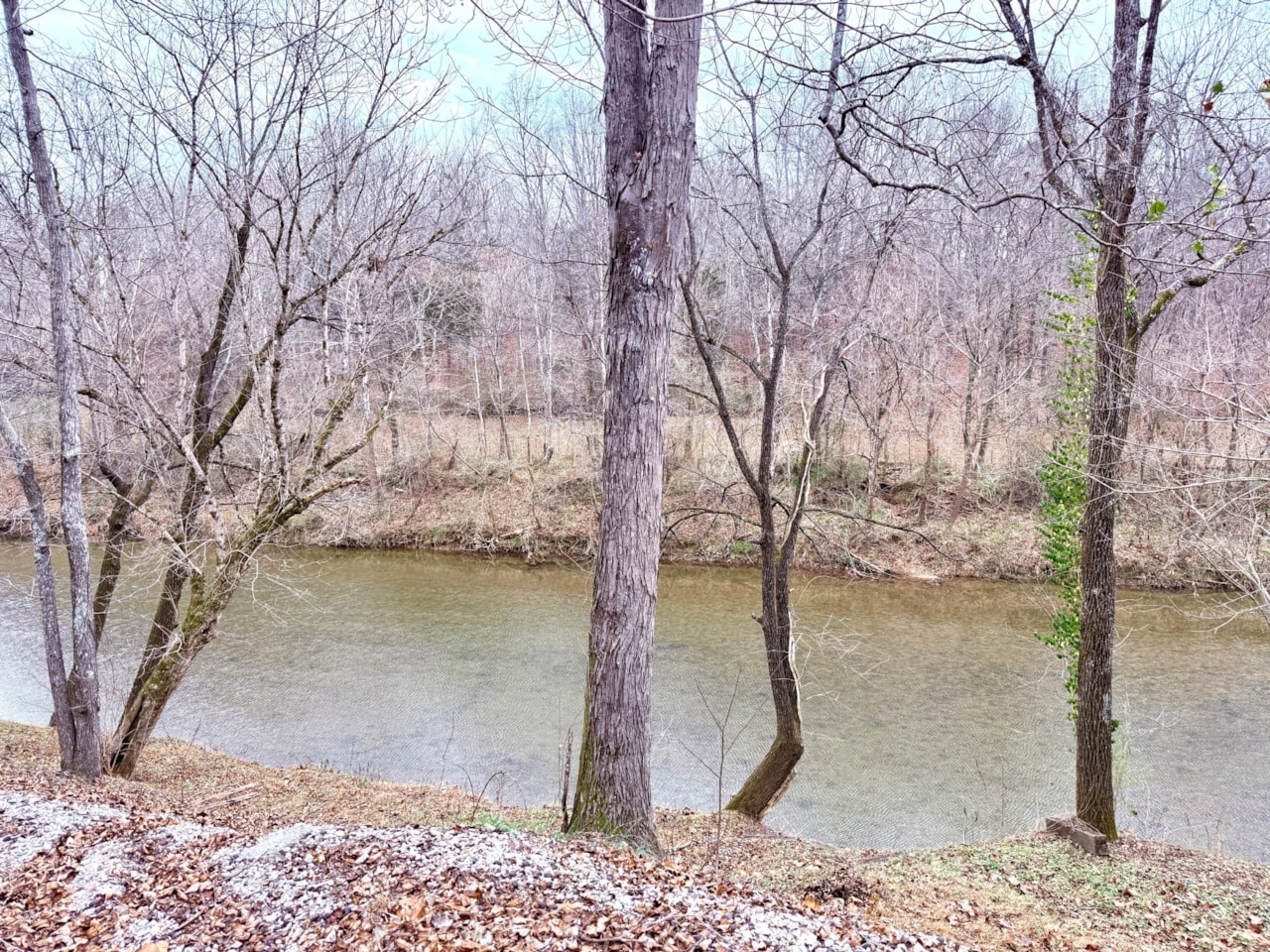 0 Cove Lane Lawrenceburg, TN 38464 | MLS 3056801