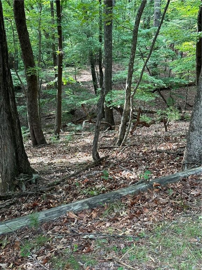 1225 Oglethorpe Road, Jasper GA 30143, MLS # 7688291 | Bent Tree