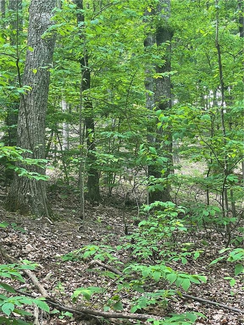 1225 Oglethorpe Road, Jasper GA 30143, MLS # 7688291 | Bent Tree