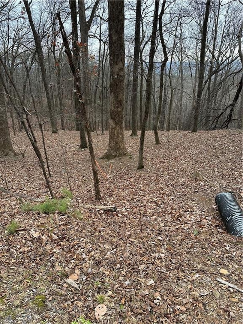 1225 Oglethorpe Road, Jasper GA 30143, MLS # 7688291 | Bent Tree