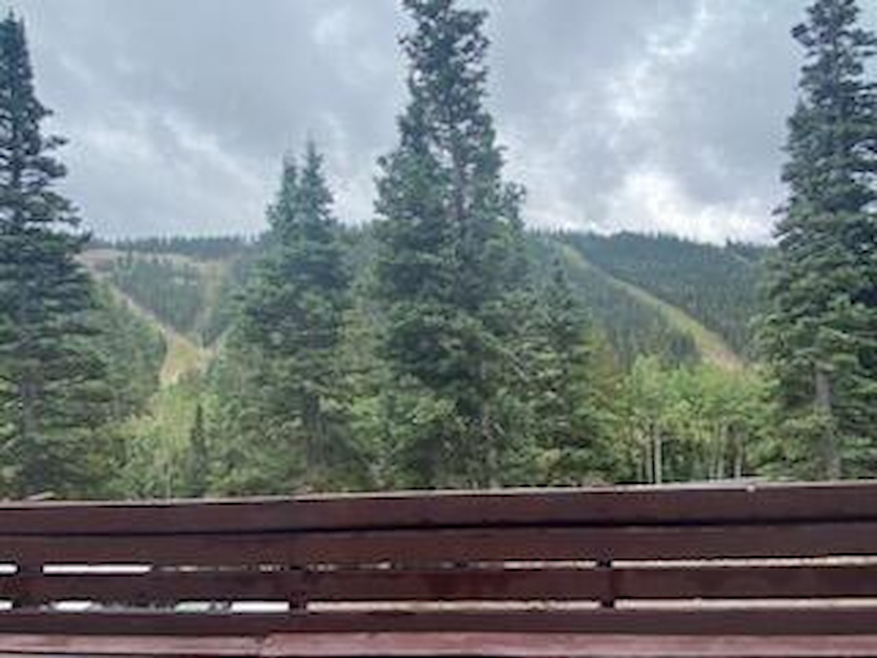 324 W Hwy 153 Eagle Point Resort Beaver, UT 84713 home for sale, MLS#25-261479 - Erika Rogers Photo 20