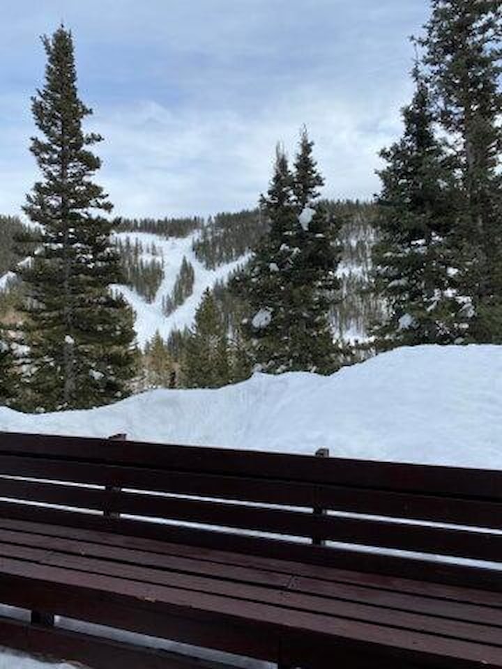 324 W Hwy 153 Eagle Point Resort Beaver, UT 84713 home for sale, MLS#25-261479 - Erika Rogers Photo 23