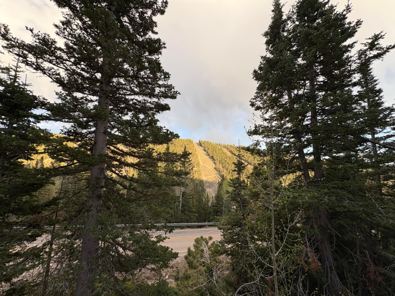 324 W Hwy 153 Eagle Point Resort Beaver, UT 84713 home for sale, MLS#25-261479 - Erika Rogers Photo 54