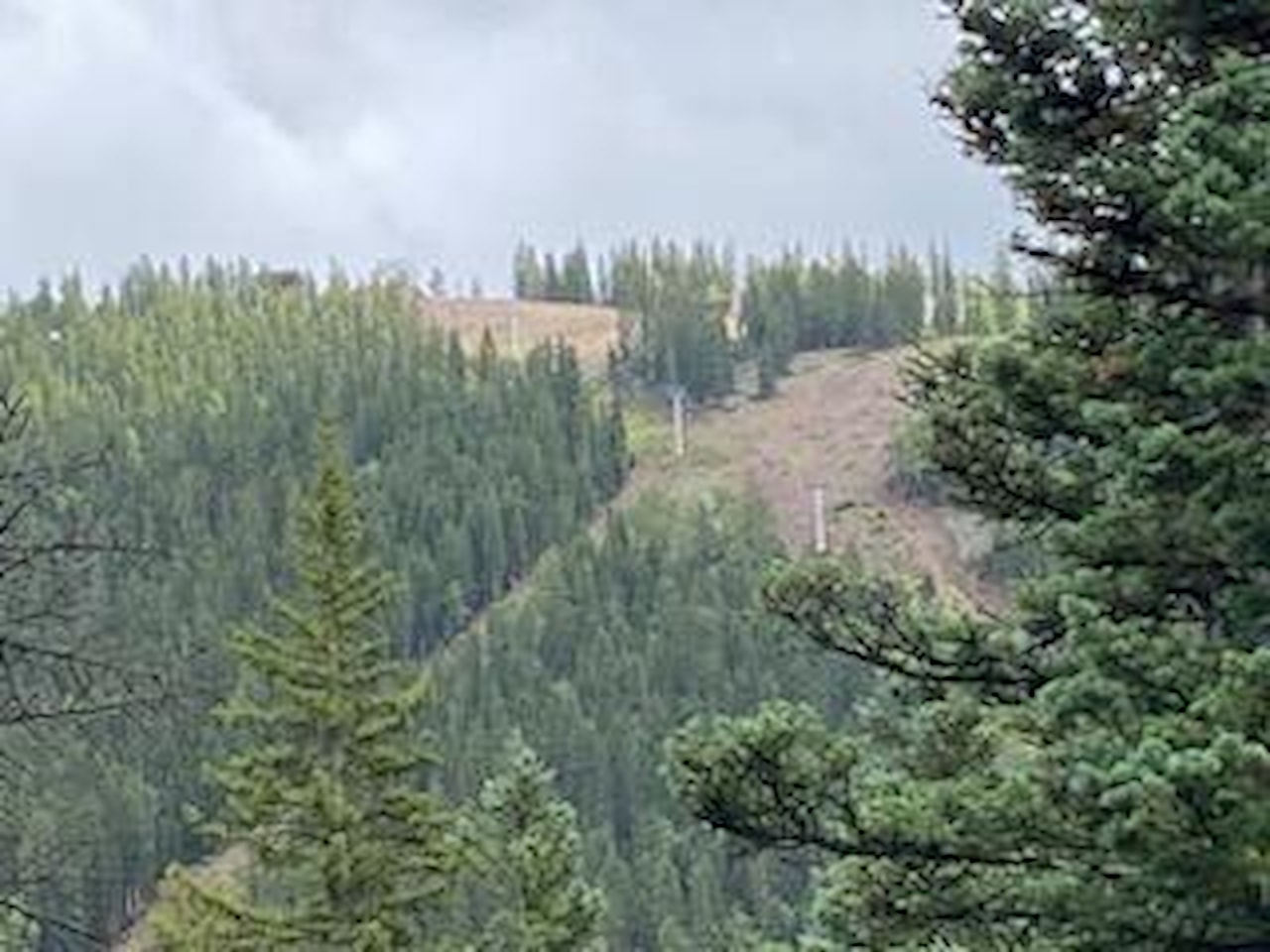 324 W Hwy 153 Eagle Point Resort Beaver, UT 84713 home for sale, MLS#25-261479 - Erika Rogers Photo 56