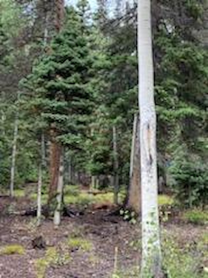 324 W Hwy 153 Eagle Point Resort Beaver, UT 84713 home for sale, MLS#25-261479 - Erika Rogers Photo 57