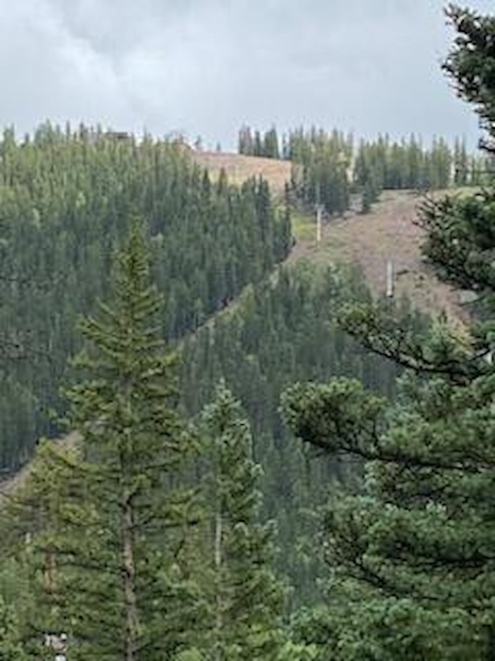 324 W Hwy 153 Eagle Point Resort Beaver, UT 84713 home for sale, MLS#25-261479 - Erika Rogers Photo 58