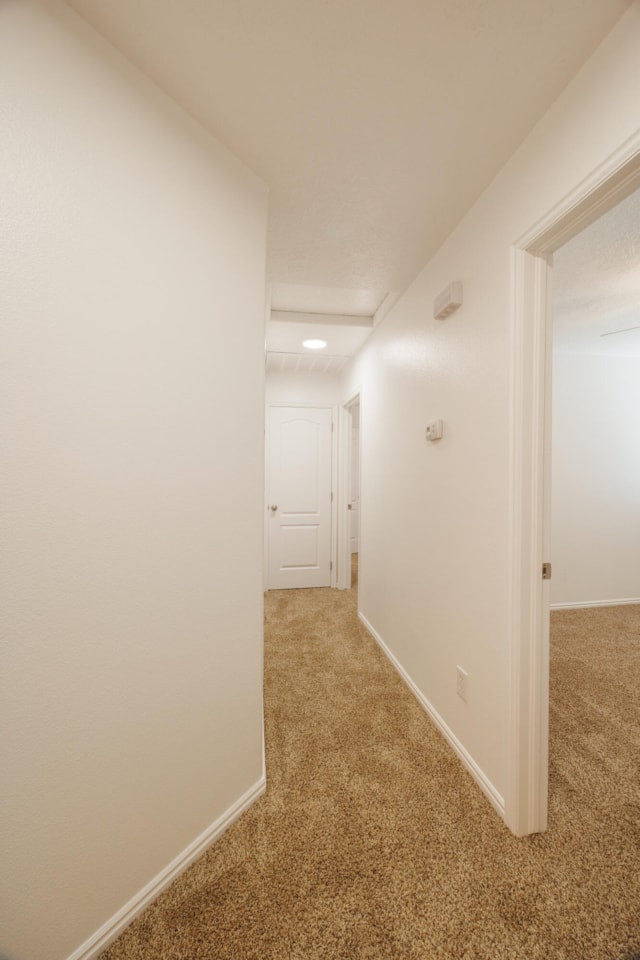 441 E Sunland #2 St George, UT 84790 home for sale, MLS#25-267585 - Erika Rogers Photo 14