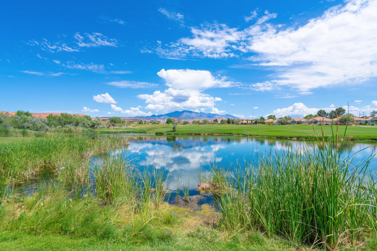 1019 W Jonathon DR Washington, UT 84780 home for sale, MLS#25-267691 - Erika Rogers Photo 56