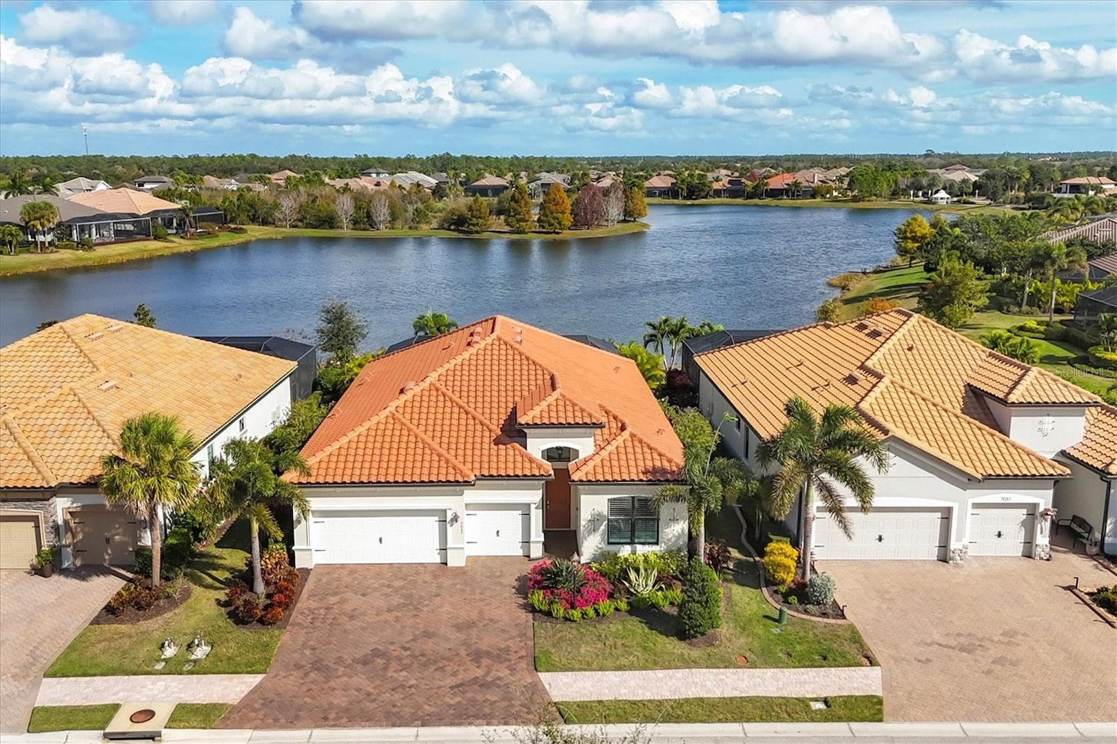 107re 700 809s 817 820m re ガーデンクォーツ　他 Brand New Citizen Record Label C7 Crystal Seven Blue Automatic