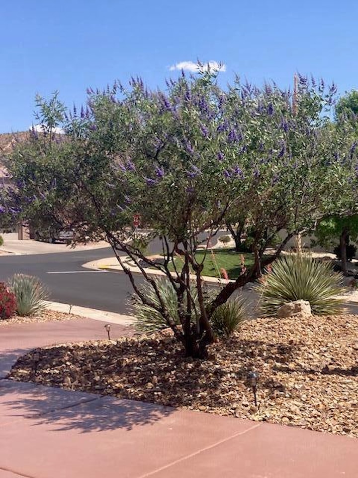 1067 E Silver Falls DR N Washington, UT 84780 home for sale, MLS#26-267705 - Erika Rogers Photo 13