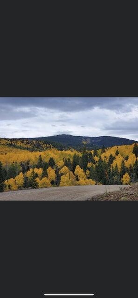 Lot #46 West Village Subdivision Beaver, UT 84713 lot for sale, MLS#24-254878 - Erika Rogers