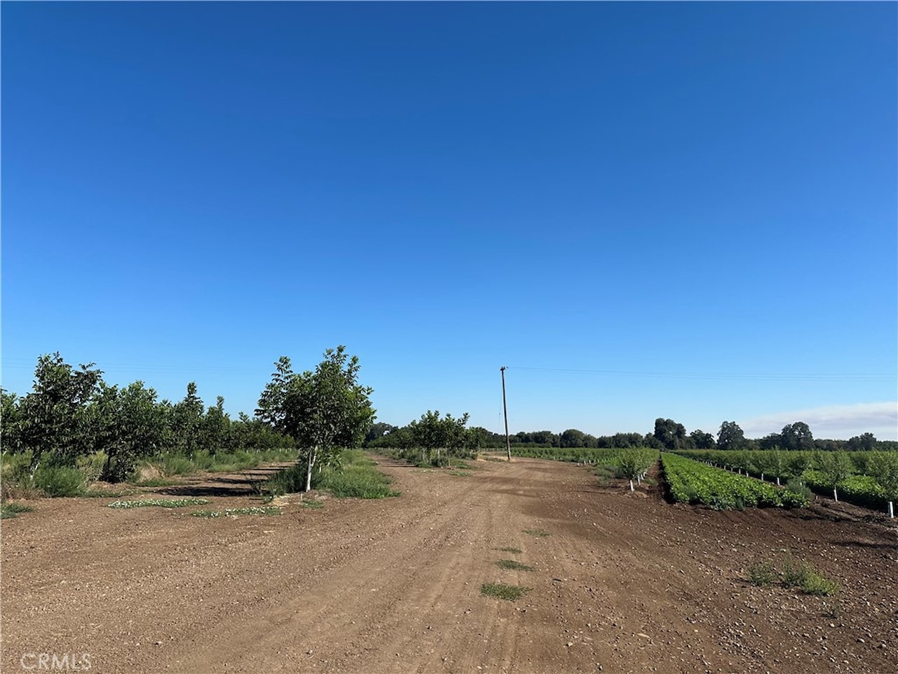 0 W Kelly Ln Chico, CA 95973 | MLS SN25196937