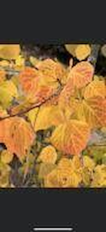 Lot #46-47 West Village Subdivision Beaver, UT 84713 lot for sale, MLS#25-261997 - Erika Rogers Photo 2