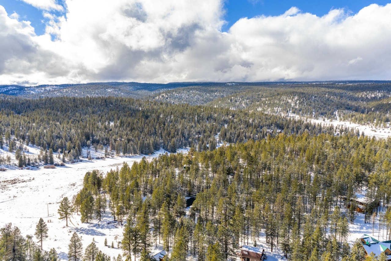 885 N Spruce DR Duck Creek, UT 84762 home for sale, MLS#26-267812 - Erika Rogers Photo 20