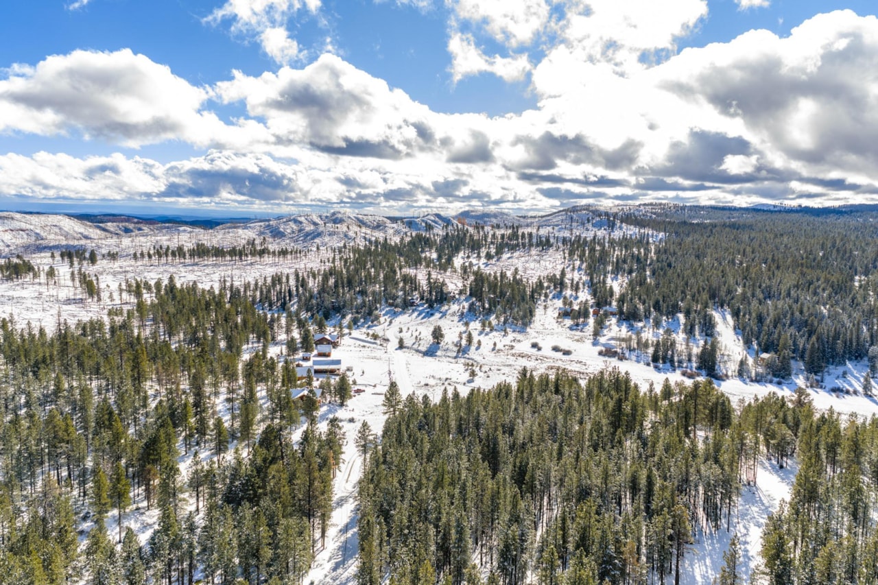 885 N Spruce DR Duck Creek, UT 84762 home for sale, MLS#26-267812 - Erika Rogers Photo 22