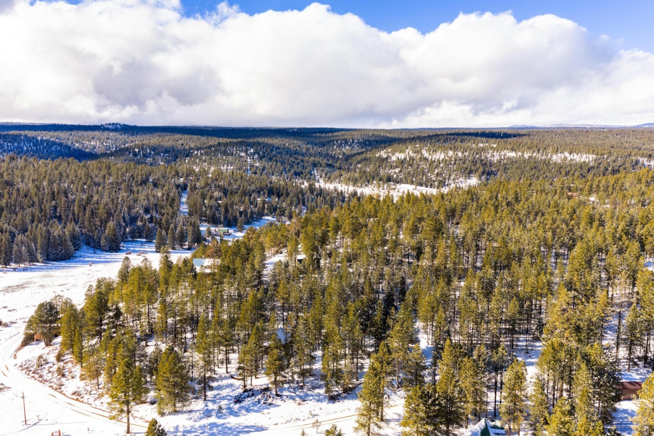 885 N Spruce DR Duck Creek, UT 84762 home for sale, MLS#26-267812 - Erika Rogers Photo 23