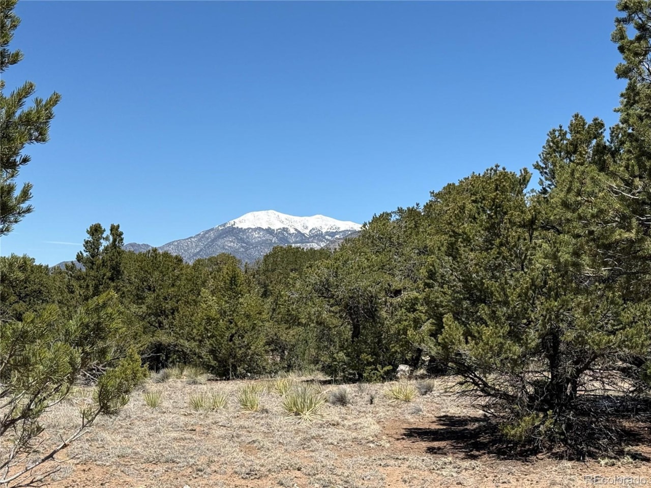 3231 Camino Del Rey Baca Grande Chalet Ii, Crestone, CO 81131 | MLS# 9492421 - Crestone 3231 Camino Del Rey Baca Grande Chalet Ii, Crestone, CO 81131 | MLS# 9492421 - Crestone