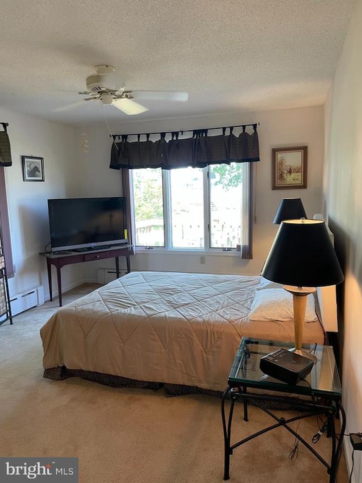  Real Estate for Sale - 19 Pintail Dr in Ocean Pines Photo 14