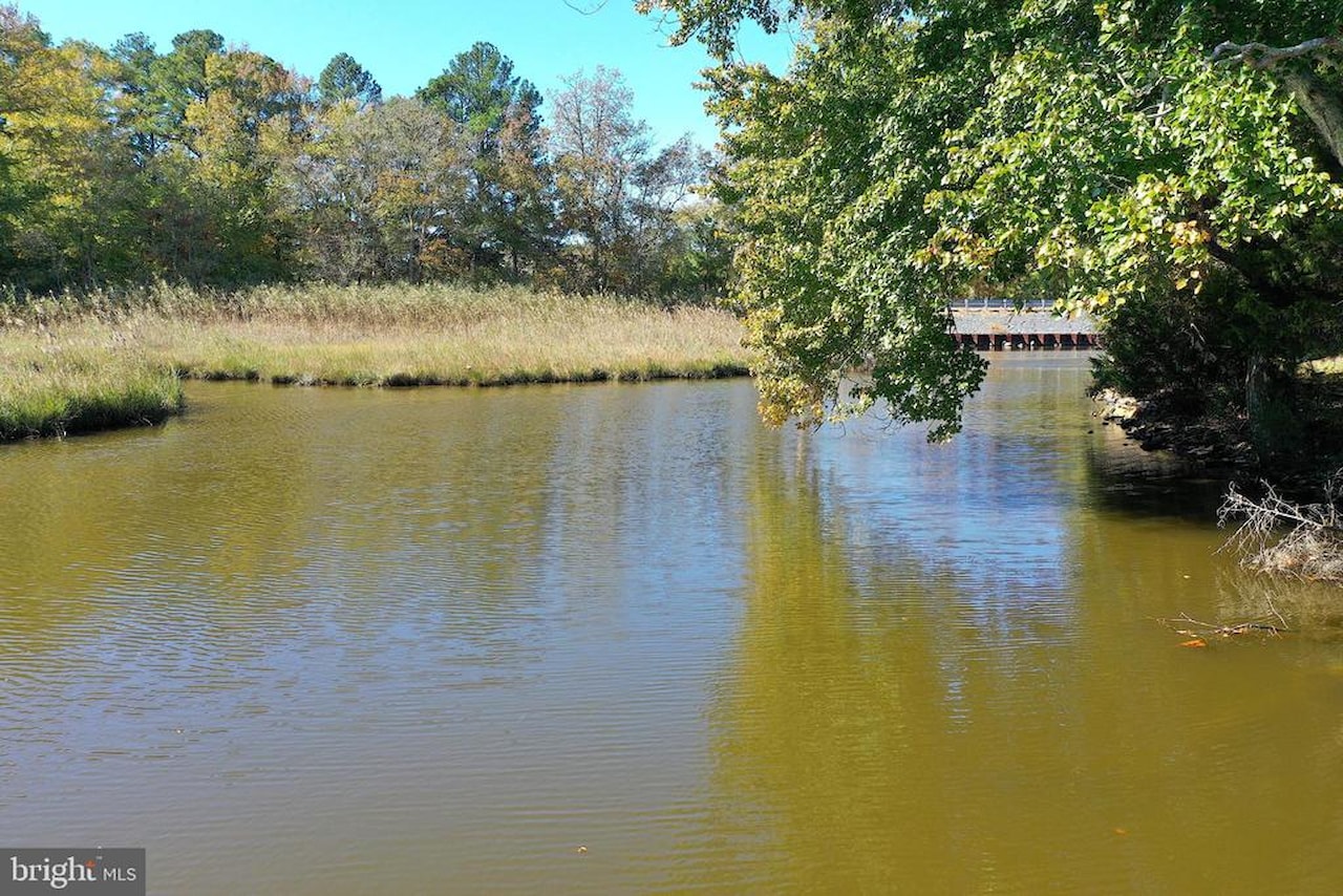  Real Estate for Sale - 11212 Gum Point Rd in Berlin Photo 35