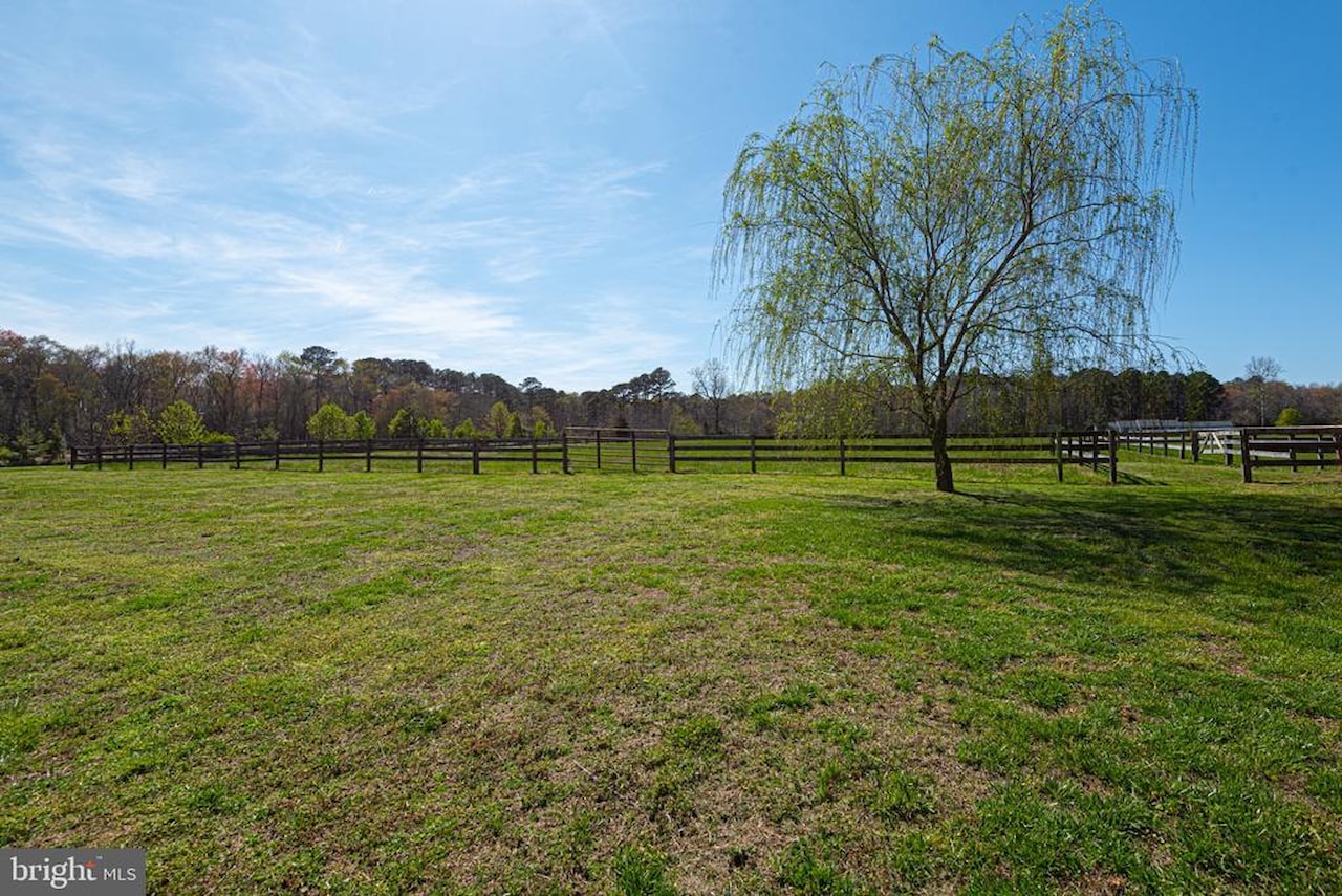  Real Estate for Sale - 12740 Jarvis Rd in Bishopville Photo 10