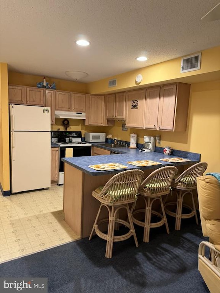 Jamaica Daybreak I Real Estate for Sale - 203 33rd St #102 in Ocean City Photo 30
