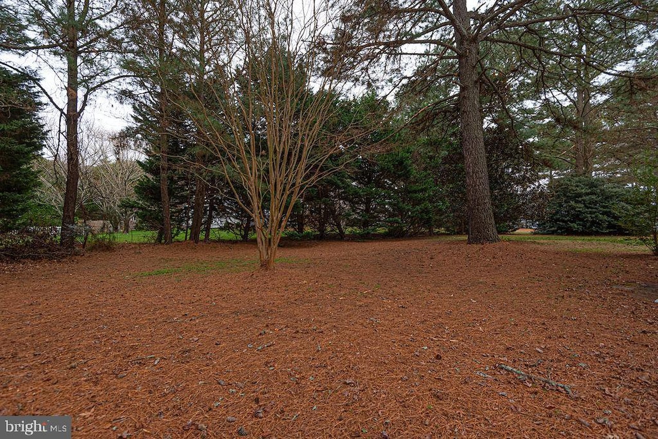  Real Estate for Sale - 10641 Piney Island Dr in Bishopville Photo 70