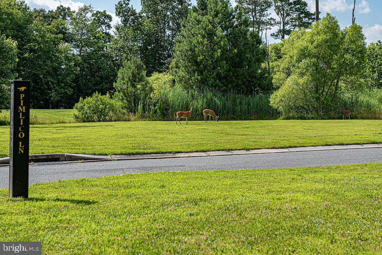  Real Estate for Sale - 11436 Maid At Arms Ln in Berlin Photo 119