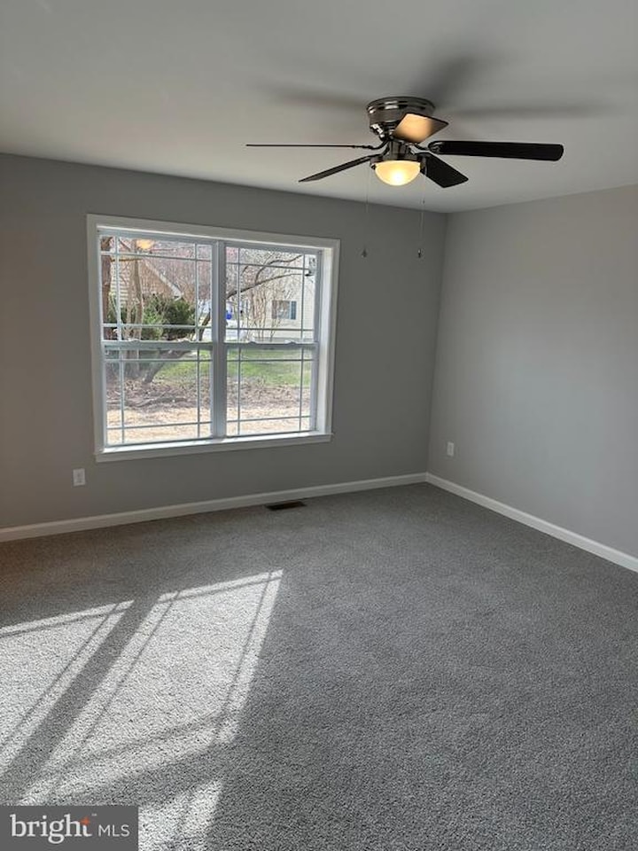  Real Estate for Sale - 28142 Blueberry Ave in Dagsboro Photo 25