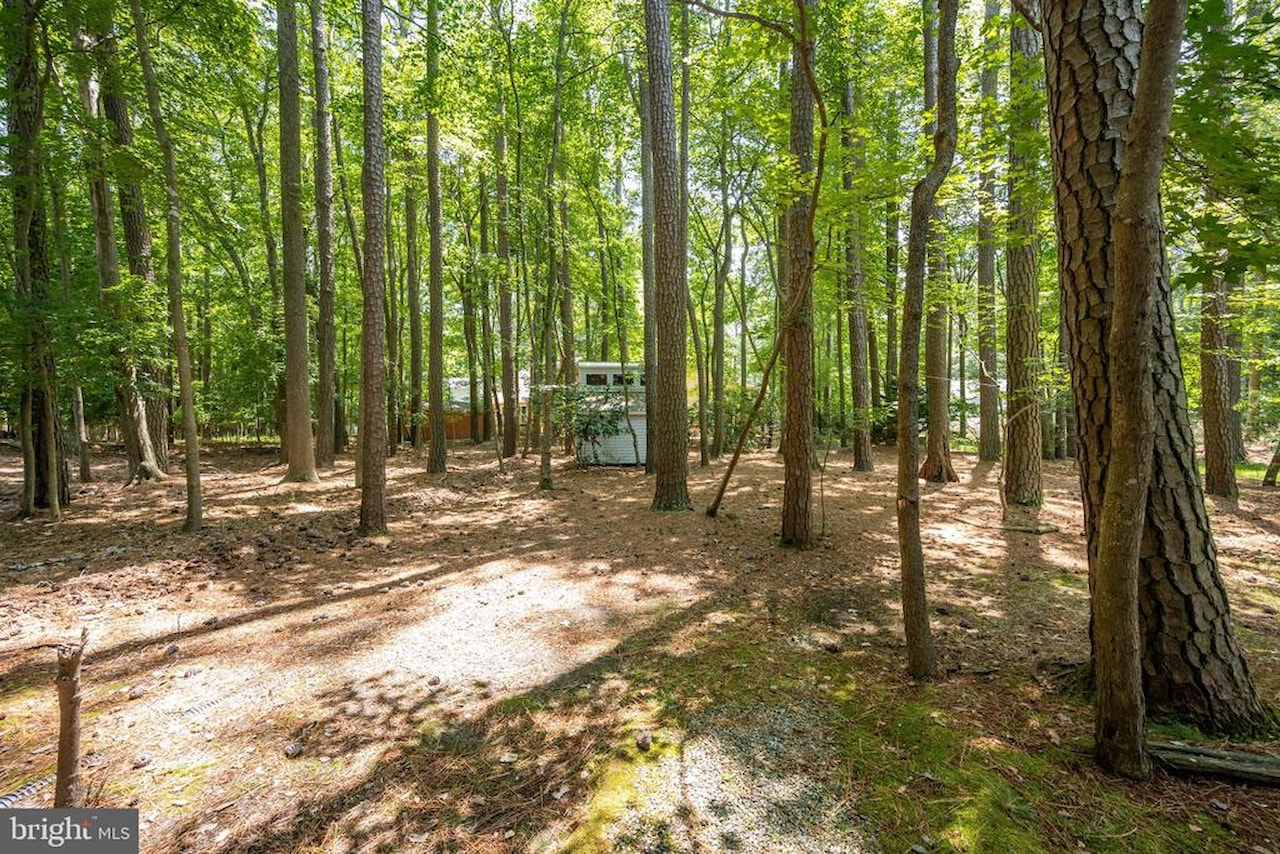  Real Estate for Sale - 1348 Ocean Parkway in Berlin Photo 47