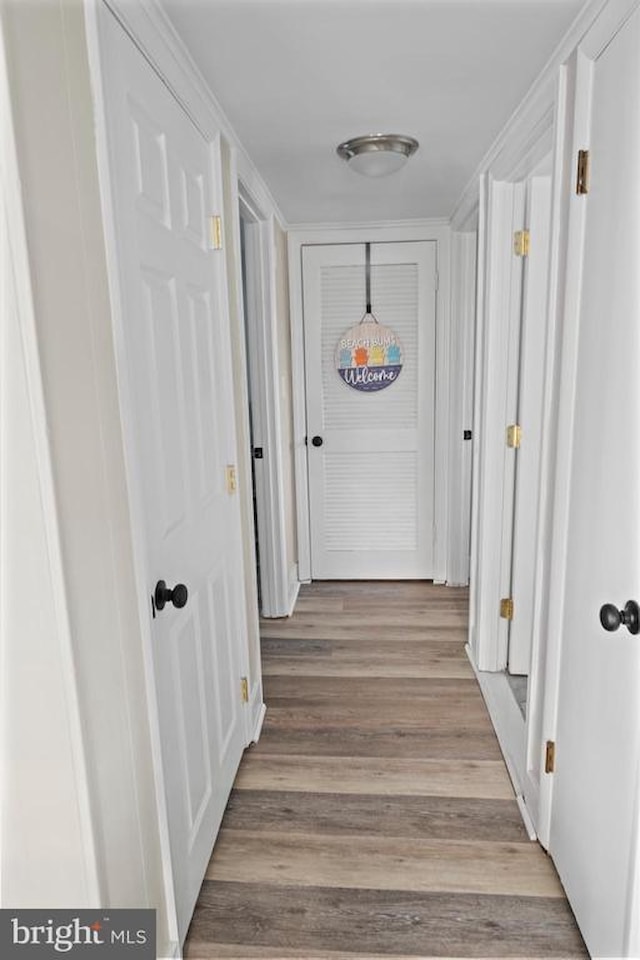 Windward Landing Sou Real Estate for Sale - 170 Captains Quarters Rd #201 in Ocean City Photo 21