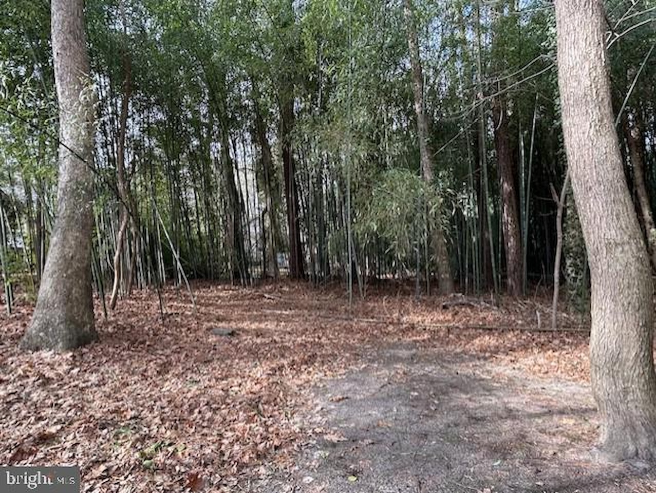  Real Estate for Sale - 3 Mates Ct in Ocean Pines Photo 3