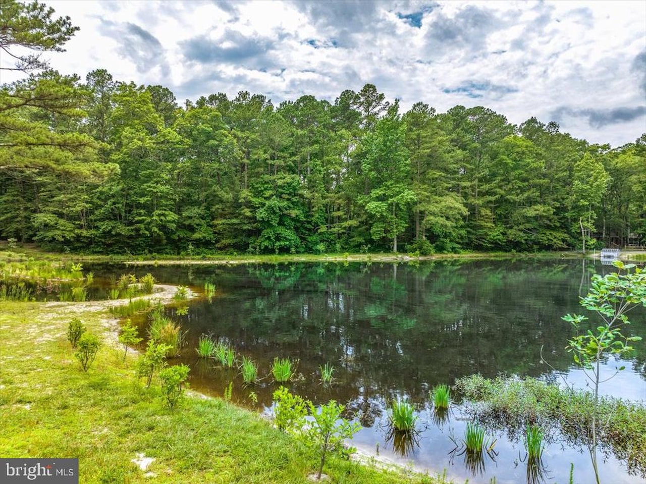  Real Estate for Sale - 1218 Ocean Parkway in Ocean Pines Photo 6