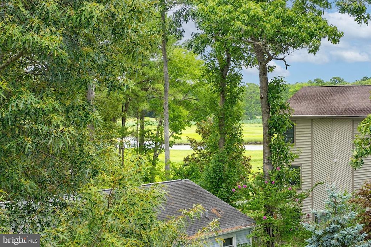  Real Estate for Sale - 34025 Pack Horse Dr in Dagsboro Photo 45