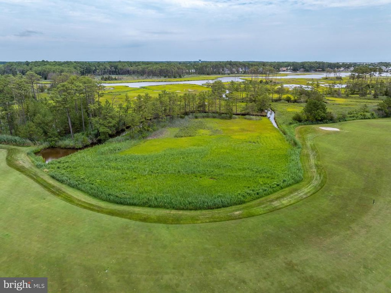  Real Estate for Sale - 30561 North Magnolia Crossing in Selbyville Photo 82