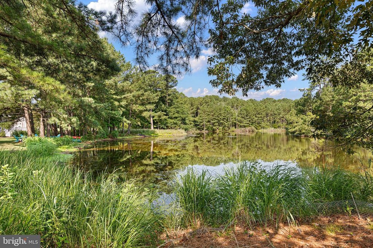  Real Estate for Sale - 486 Bethany Loop in Bethany Beach Photo 8