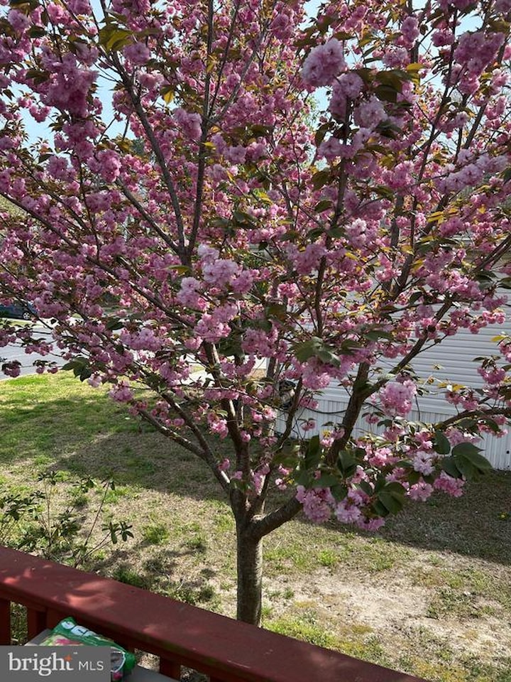  Real Estate for Sale - 3 Bay Vista Dr in Berlin Photo 46